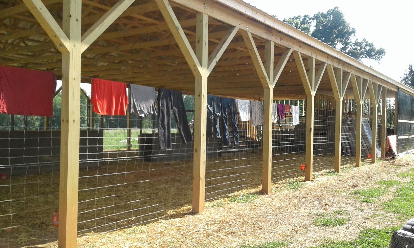 Goat Barn Solar Dryer Lookout Mountain Growers Myotonic Goats